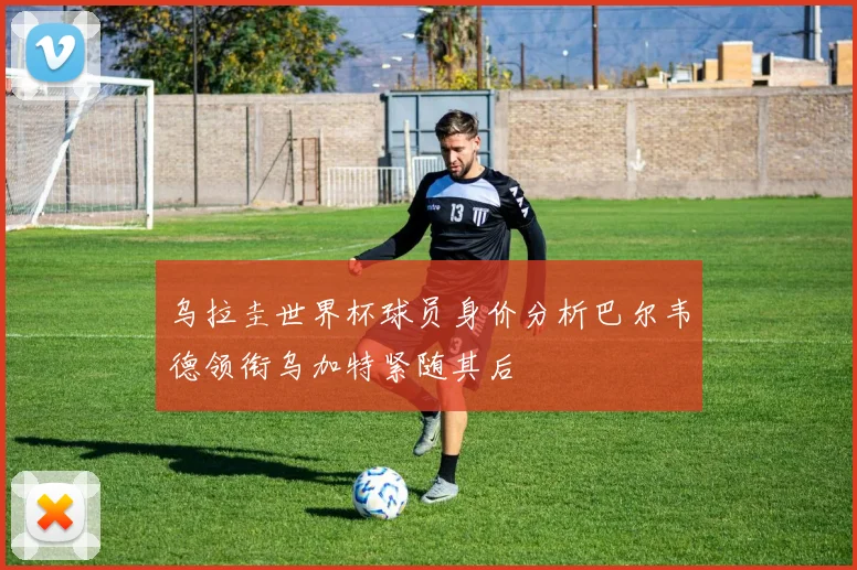 乌拉圭世界杯球员身价分析巴尔韦德领衔乌加特紧随其后