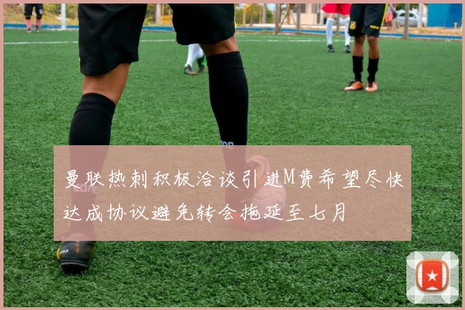 曼联热刺积极洽谈引进M费希望尽快达成协议避免转会拖延至七月